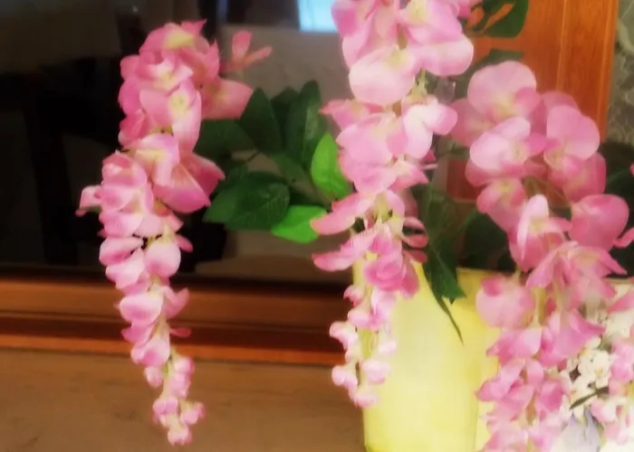 Ristorante La Bettola